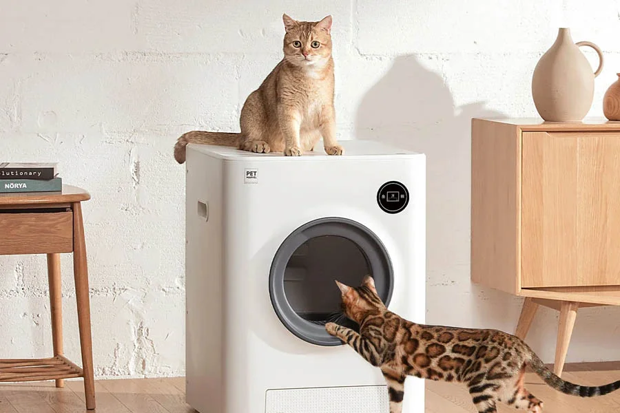 odourless litter box